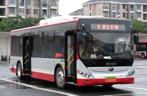 展望上海浦东临港的中运量交通：像71路中运量