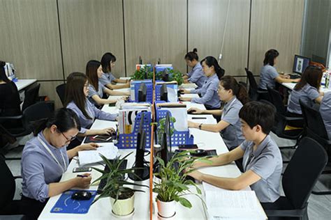 河南省优秀创新创业指导教师