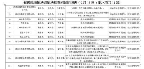 衡水市人民政府 公示公告 省级现场执法组执法检查问题明细表（9月15日）