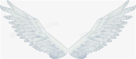 天使翅膀免抠图形图片免费下载_PNG素材_编号158i8839w_图精灵