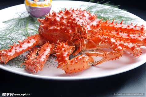 螃蟹菜单设计-螃蟹菜单模板-螃蟹菜单图片-觅知网