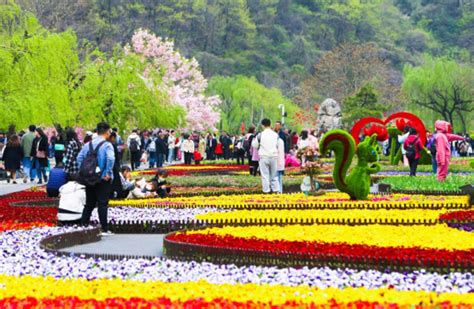 行走河南·读懂中国丨云台山3月推出免票、半价福利政策 - 河南省文化和旅游厅