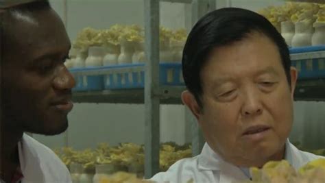 “蘑菇教授”：实验室里创出“致富经”_凤凰网视频_凤凰网