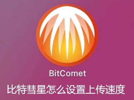 【比特彗星会员特别版】比特彗星中文特别版下载 v1.75 免安装版-开心电玩