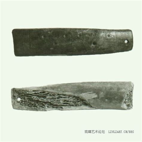 双头鸟图片