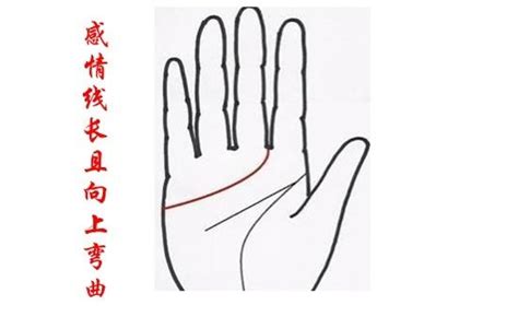 手掌感情线图解图片