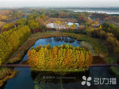 “高颜值”虎丘湿地公园初亮相 以最江南的风情展示城市绿意空间 _苏州地产圈