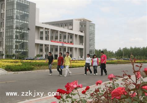重要!!枣庄科技职业学院2020年单招、综评网上测试时间安排--中国教育在线