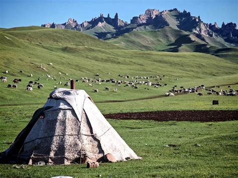 乌苏市科协:多种养殖下的庭院经济 让“方寸地”变成“增收园” -新疆维吾尔自治区科学技术协会