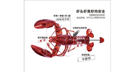 医生紧急提醒，小龙虾不能这样吃！ - 青岛新闻网