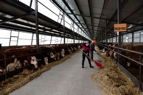 翁牛特旗“七种模式”助推肉牛产业高质量发展--赤峰日报
