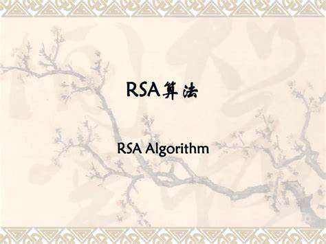 rsa加密解密算法代码