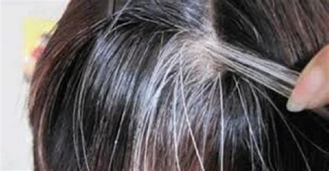 体毛|为什么人类的头发比其他部位的毛发多？头发为什么如此特殊？_科学|动物|国际