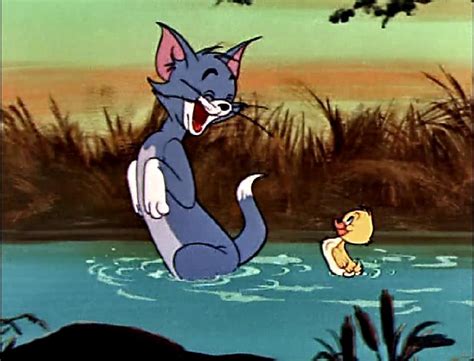 《猫和老鼠》表白汤姆！从那一刻开始，你是我童年永远的“男神”-搜狐大视野-搜狐新闻