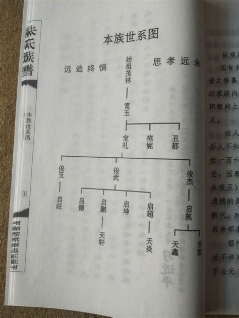 现代最简单家谱世系图,家怎么编写,新式家范本(第3页)_大山谷图库