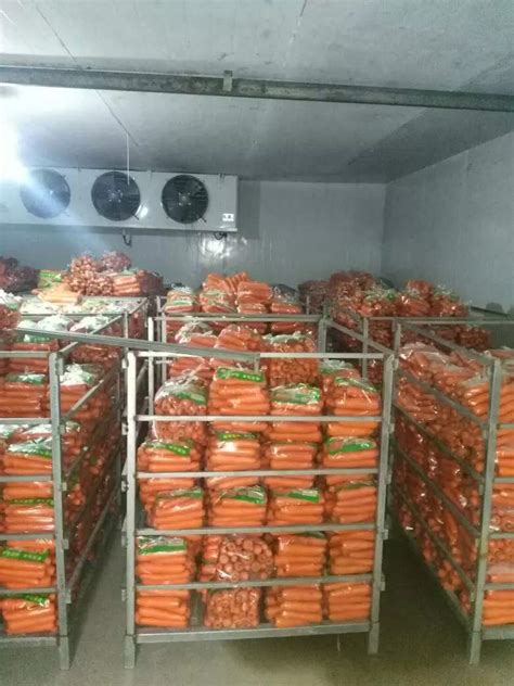 蔬菜速冻冷库安装【价格 批发 公司】-哈尔滨雪山制冷工程设备有限公司