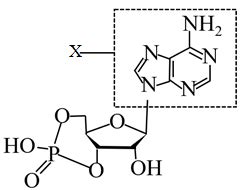 dna磷酸基团示意图,酸基团图,游离的酸基团图片(第2页)_大山谷图库