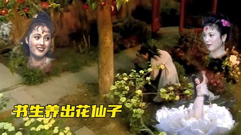 聊斋：书生情系山水丹青，酷爱养花，竟然在道观中同时养出了两位花仙子_腾讯视频