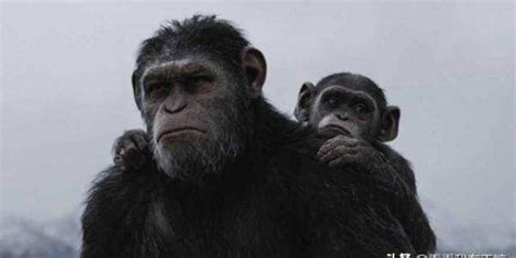猩球崛起3: 本跟人类和睦相处的猿，失去至亲后开启暴走。_电影_高清1080P在线观看平台_腾讯视频