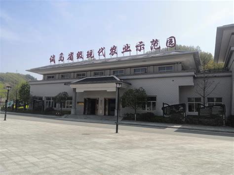 看项目 | 商南县现代材料产业园项目：做拉动县域经济高质量发展的新“引擎” - 西部网（陕西新闻网）
