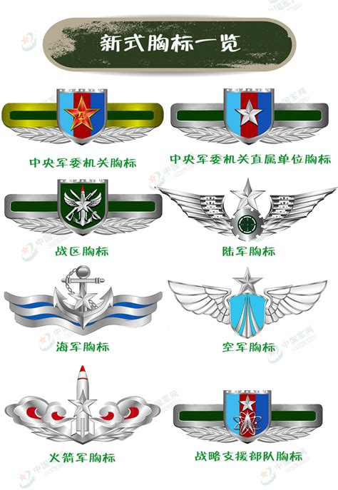 图解：军改一年间，解放军“穿”之变 - 中国军网