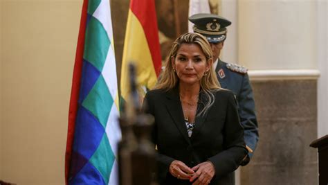玻利维亚临时总统将于24日签署大选法案 - 2019年11月24日, 俄罗斯卫星通讯社