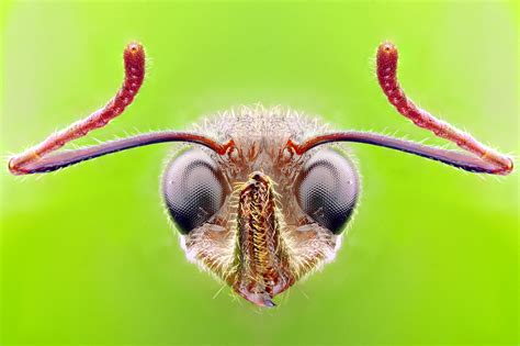 蚂蚁摄影app下载-蚂蚁摄影官方版下载v4.3.0 安卓版-单机100网