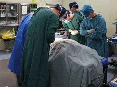 中国器官捐献移植五年调查：生命接力，“移”路同行_热点
