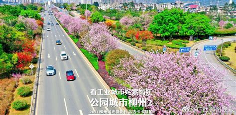 柳州人民广场-VR全景城市