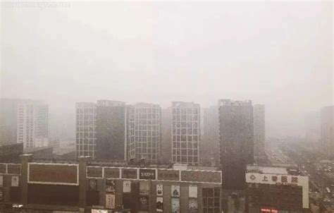 【天气】广州暴雨大风