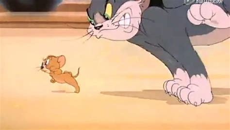 猫和老鼠合集 第149话