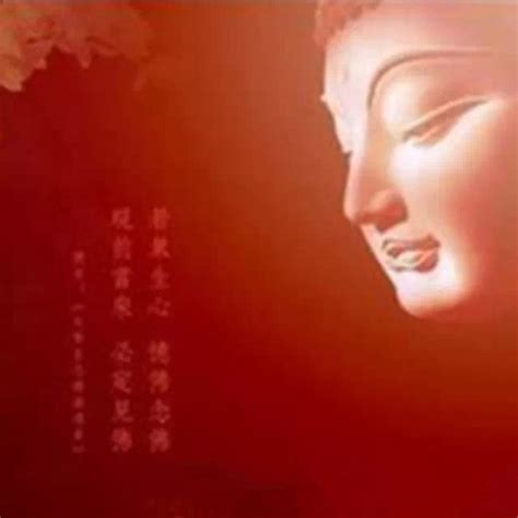 大彻大悟/表情包图片