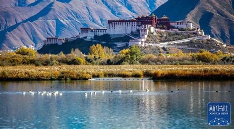 西藏拉萨-住进布达拉宫我是雪域最大的王，流浪在拉萨的街头，我是世间最美的情郎-拉萨旅游攻略-游记-去哪儿攻略