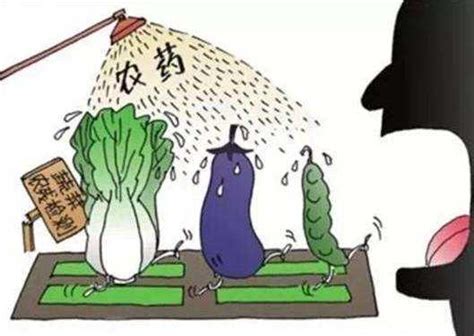 山东省通告6批次蔬菜水果农药残留超标不合格 - 知乎