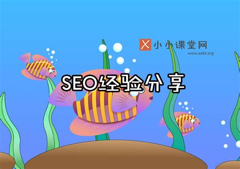 seo经验分享（分享几个做SEO的实际操作跟思路总结）-蓝鲸创业社