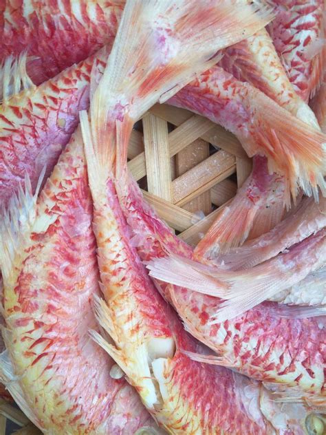 汕尾本港新鲜海鱼,怎么做都好吃的鱼