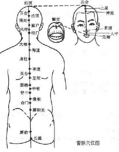 画着经脉穴位图的人体模型的右背特写图片免费下载_红动中国