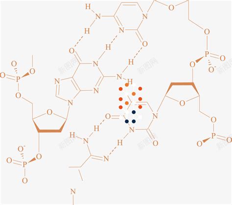 化学分子结构图矢量图png图片免费下载-素材7SJqeWjPV-新图网