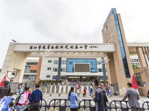 2020深圳市龙华区教育系统面向应届毕业生招聘教师249人 - 知乎
