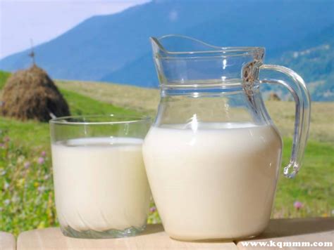 十大不建议买的纯牛奶排行-纯牛奶好不好看什么指标-趣丁网