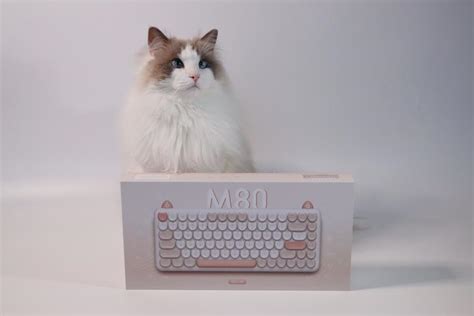 520送一把可爱猫咪键盘——iQunix M80 - 知乎