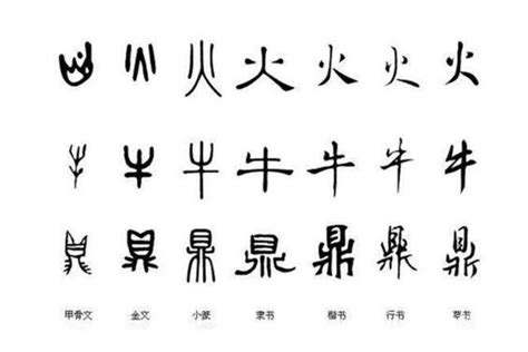 汉字7体大揭晓，从甲骨文到现在，汉字变化如此之大