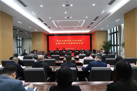 重庆渝中法院发布金融审判白皮书 金融借款合同案件数量居首-新重庆客户端