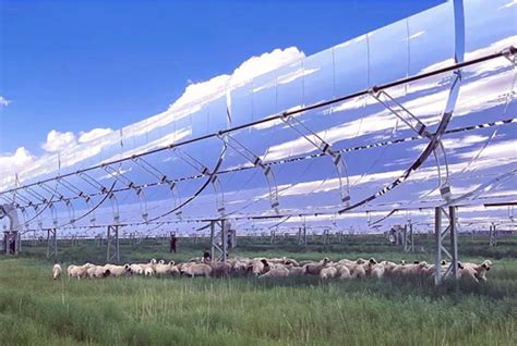 “光热羊”出栏了！乌拉特中旗100MW光热发电项目探索绿色循环经济发展新路径 - CSPPLAZA光热发电网-太阳能热发电行业权威媒体商务平台！