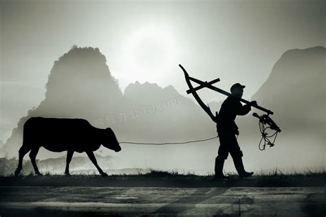 扛着爬犁牵着牛的农夫摄影高清jpg格式图片下载_熊猫办公