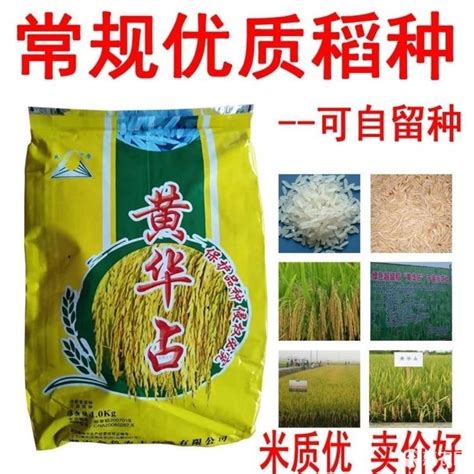黑龙江省水稻多少钱一斤？附2020年黑龙江省水稻价格行情分析 - 惠农网