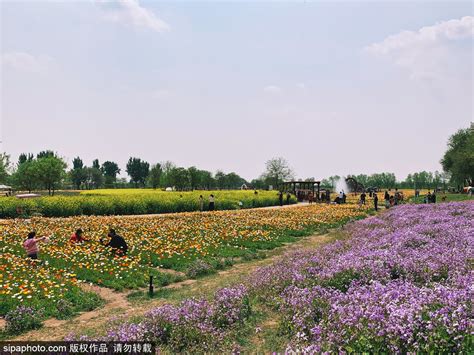 春天踏青,春季踏青,春天踏青素材_大山谷图库