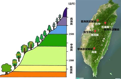 海拔高度地图图片