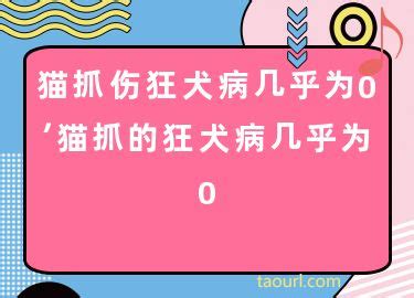 猫抓伤狂犬病几乎为0，猫抓的狂犬病几乎为0-酷派宠物网