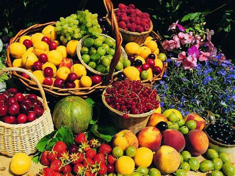 三个字水果商标名字,100个果园取名字大全,三个字的水果店名字_大山谷图库